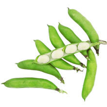 果百伦 蚕豆 新鲜蚕豆角 带壳蚕豆荚 云南蚕豆 青蚕豆胡豆角 新鲜蔬菜