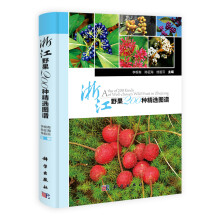 书籍图片