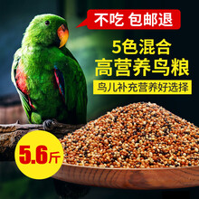 鹦鹉饲料