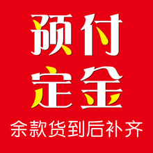 车跑车电瓶车大型男女款电摩电动趴赛摩托车 定金支付—余款货到付