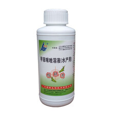 精博水产鱼药 广州精博指环清 杀灭指环虫三代虫 渔药 水族药品