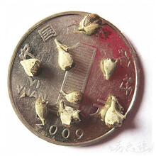 赣县早射吃什么药【在线咨询球球:24892o741