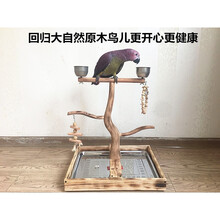 鹦鹉鸟架子站笼鹦鹉站架不锈钢玄凤大型鹦鹉实木站架耐咬脚链站杆