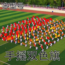 岚山大型方队组字运动会入场团体操表演展示活动双色变色旗帜手拿道具