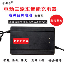 60v五块电瓶充电接线图,60v电瓶怎么接线图解 原装天能电池电动车三轮车电瓶充电器24v48v12a60v20a72v30a35a50 64v