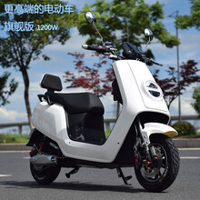 【电动摩托车旗舰】价格_图片_品牌_怎么样-京东商城