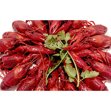 武汉哪里买得到让人说实话的药★(在线服务球