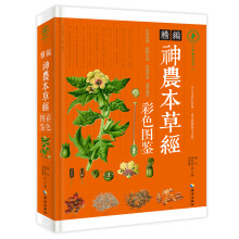 书籍图片