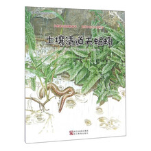 书籍图片
