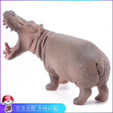 河马玩具