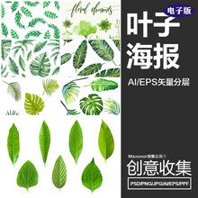 自学叶子植物绿叶水彩植物素材设计素材小清新平面v叶子矢量树叶复古手绘门头装修设计图片