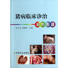 书籍图片