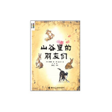 书籍图片