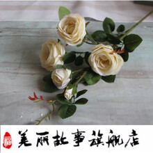 白玫瑰花茶