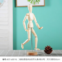 木偶模型