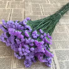 勿忘我干花
