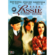 靈犬萊西（DVD）