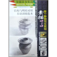 少年兒童美術(shù)培訓(xùn)專用教材系列叢書：素描單個(gè)靜物寫生教程（12歲-18歲）