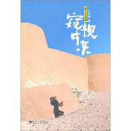 新天方夜譚：窺視中東