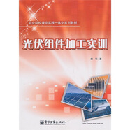 職業(yè)院校理論實(shí)踐一體化系列教材：光伏組件加工實(shí)訓(xùn)