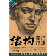 結(jié)構(gòu)素描范本7：石膏頭像結(jié)構(gòu)素描范本（黃金典藏版）