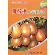 獼猴桃三高栽培技術(shù)