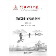 物聯(lián)網(wǎng)與智能電網(wǎng)