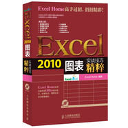 實(shí)戰技巧精粹：Excel2010圖表（含光盤(pán)）（異步圖書(shū)出品）