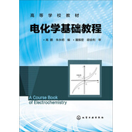 電化學(xué)基礎(chǔ)教程/高等學(xué)校教材