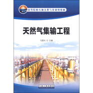 天然氣集輸工程/高等院校石油天然氣類(lèi)規劃教材