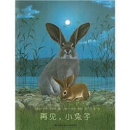 約克·史坦納：再見，小兔子 （愛心樹童書）