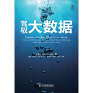 駕馭大數(shù)據(jù)9787115304803