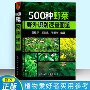 500種野菜野外識別速查圖鑒 中國野菜野果植物菌類(lèi)圖鑒圖譜一本通書(shū)籍自然科學(xué)生物科學(xué)植物學(xué) 健康飲食養生食譜書(shū)