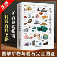 【官方正版】礦物與巖石圖鑒礦物與巖石完全圖鑒礦石大百科寶石圣典直觀(guān)、立體全方位鑒別與分析，輕松認識礦物與巖石231種礦物和65種巖石鑒別指南觀(guān)賞魚(yú)圖鑒 【單冊】礦物與巖石完全圖鑒