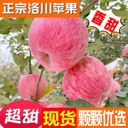 洛川蘋(píng)果陜西延安特產(chǎn)紅富士時(shí)令蘋(píng)果水果禮盒送蘋(píng)果生鮮新鮮脆甜整箱批發(fā) 5斤70-75mm（凈重4.5斤）小果