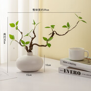 佳第假花仿真花小清新仿真綠植假植物客廳擺件室內(nèi)插花酒店餐桌擺件 大肚瓶+一支仿真綠芽