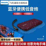 飛利浦（PHILIPS） BT3900無線藍牙音箱便攜迷你音箱藍牙音響低音炮/音樂手包 P紫色+音頻線+充電器