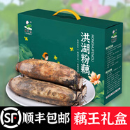 藕荷泥（OUHENI）正宗洪湖粉藕新鮮蓮藕湖北特產(chǎn)現挖九孔藕煲湯湖藕粉糯蓮藕蔬菜 洪湖粉藕5斤(藕王禮盒裝)