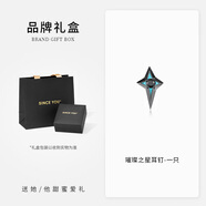 SINCE YOU星跡耳環(huán)男士純銀小眾設計高級感耳圈耳飾個(gè)性氣質(zhì)耳釘女生日禮物 璀璨之星耳釘（單只）