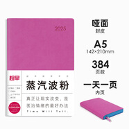 趁早2025厚本效率手冊A5日程本時間管理手賬一日一頁辦公記事本會議記錄本384頁-蒸汽波粉