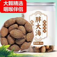 養(yǎng)益君 胖大海60g 【約35顆】嚴(yán)選精品廣西原產(chǎn)大海子大洞果大海欖潤(rùn)糖喉茶泡水 沖泡養(yǎng)生茶