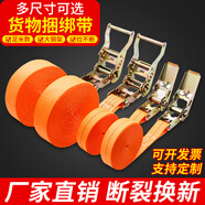 濼然貨車綁帶固定帶繩子收緊拉緊器剎車?yán)K萬能貨物棘輪緊繩器捆扎神器 長2米 寬2.5CM【拉緊器+織帶】