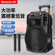 紐曼N509廣場(chǎng)舞音響移動(dòng)家用戶外K歌藍(lán)牙音箱拉桿便攜式重低音大音量超長(zhǎng)續(xù)航雙麥 12吋