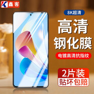 鑫客 適用努比亞Z40Spro鋼化膜努比亞Z40Spro星空典藏版防窺膜全屏高清抗藍光鏡頭手機保護膜 增強防指紋高清膜/2片裝