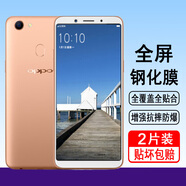奧多金 oppoA系列鋼化膜 全屏防爆玻璃屏幕保護膜 適用OPPO手機貼膜 A73/A73t/A73m 全屏鋼化膜【2片裝】