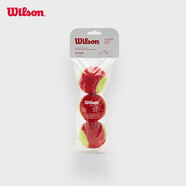Wilson威爾勝兒童青少年訓練網(wǎng)球 低壓耐磨網(wǎng)球3只裝