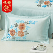 絲煌雙面真絲枕套100%桑蠶絲手繪單人絲綢枕頭套 芳藍夢瑤1732 48x74cm一只裝