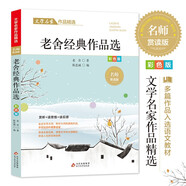 老舍經(jīng)典作品精選 文學(xué)名家經(jīng)典作品精選 名師賞讀版