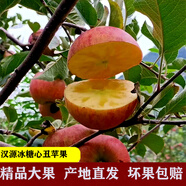 四川漢源冰糖心紅富士丑蘋(píng)果脆甜時(shí)令新鮮水果整箱禮盒裝蘋(píng)果水果 75mm-80mm8.6斤