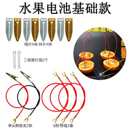 舜江 水果電池材料包實(shí)驗套裝diy 小學(xué)科學(xué)教學(xué)器材發(fā)電裝置銅片鋅片原電池 基礎款紙盒裝